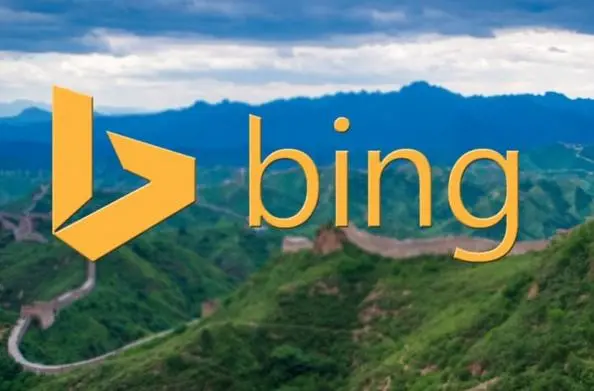 BING.JPG